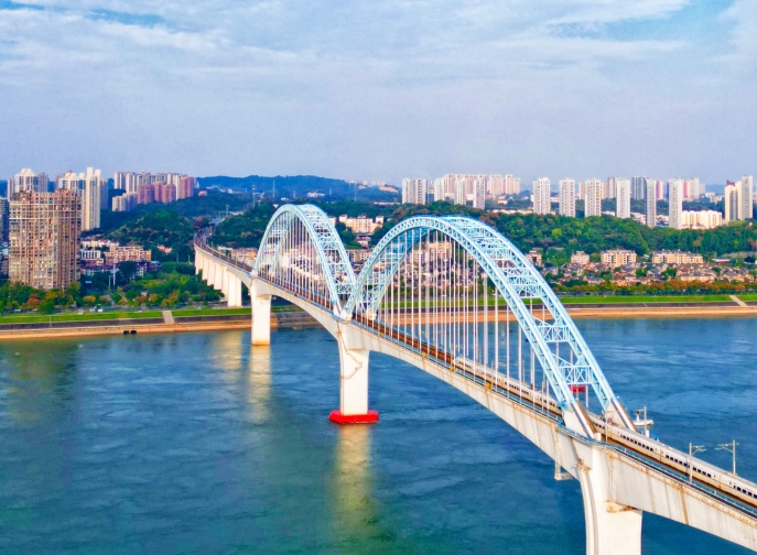 向光而行，花開滿途